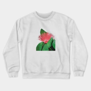 ‘Ōhi’a Lehua, native Hawaiian plant Crewneck Sweatshirt